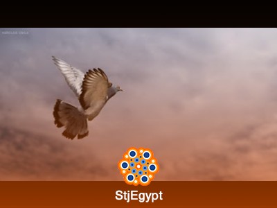دورة تصوير فوتوغرافي متكاملة مع Kerolos Takla