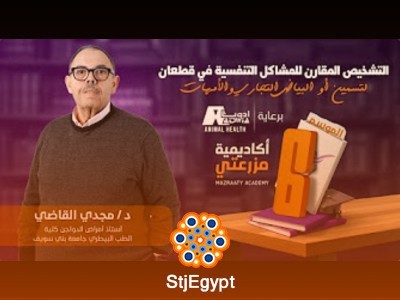 كورس التشخيص المقارن للمشاكل التنفسية في قطعان التسمين أو البياض التجاري والأمهات - د. مجدي القاضي