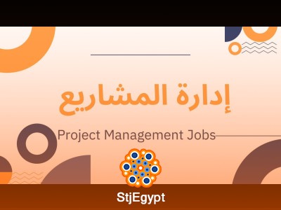 Project Manager