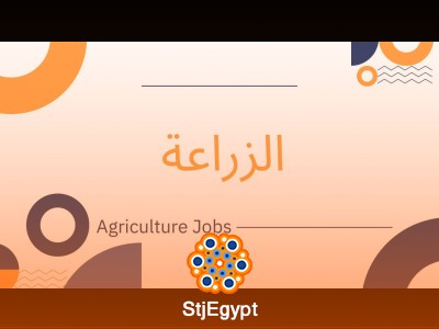 مزارع زراعي في مجال الشجر - الداخلة - الوادي الجديد