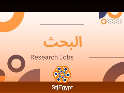 SEO Specialist