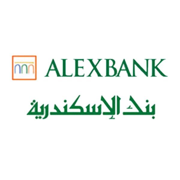 Digital Performance Officer,Alex Bank
