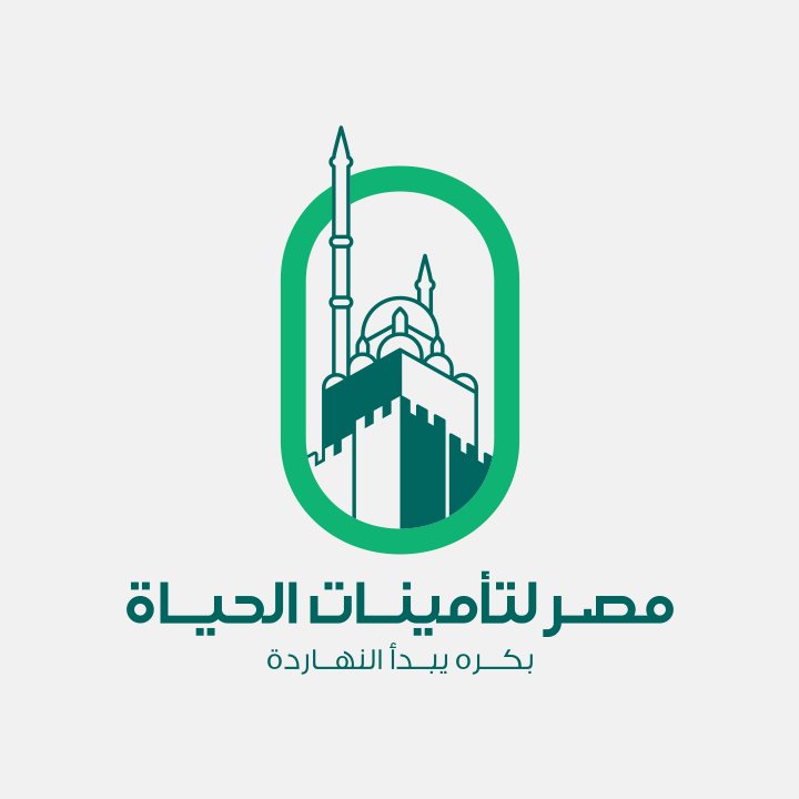 Financial Advisor at Misr Life Insurance